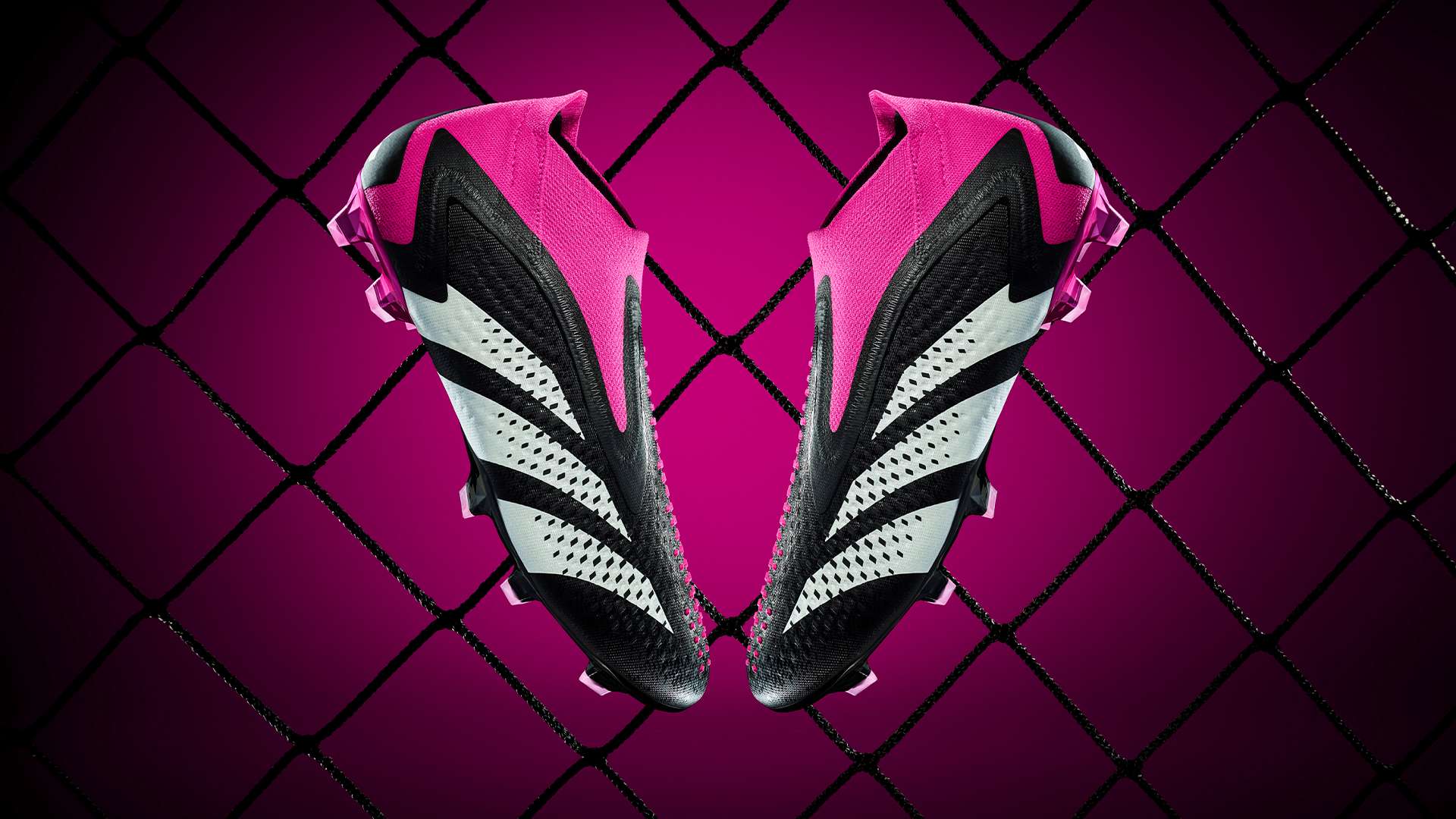 注入了新的 注入了新的