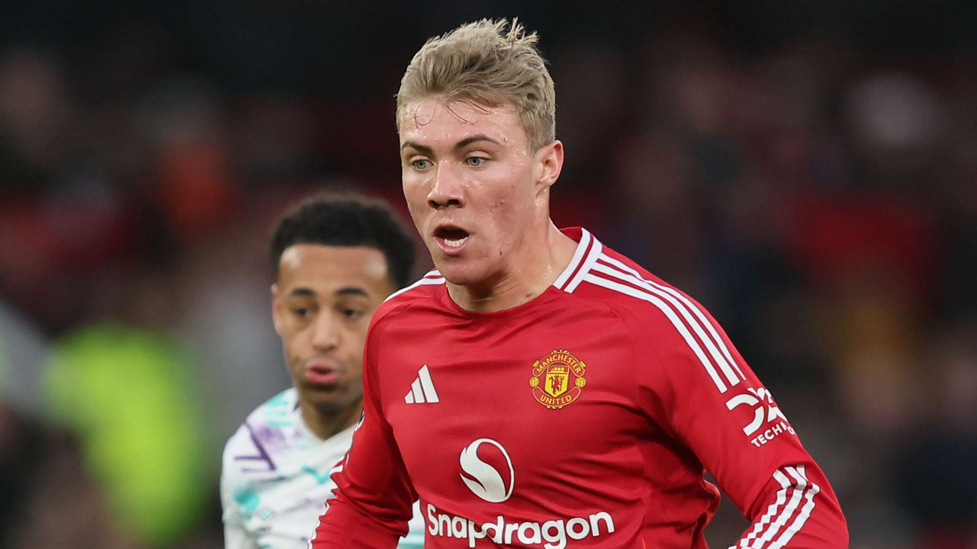 格局的多样 格局的多样