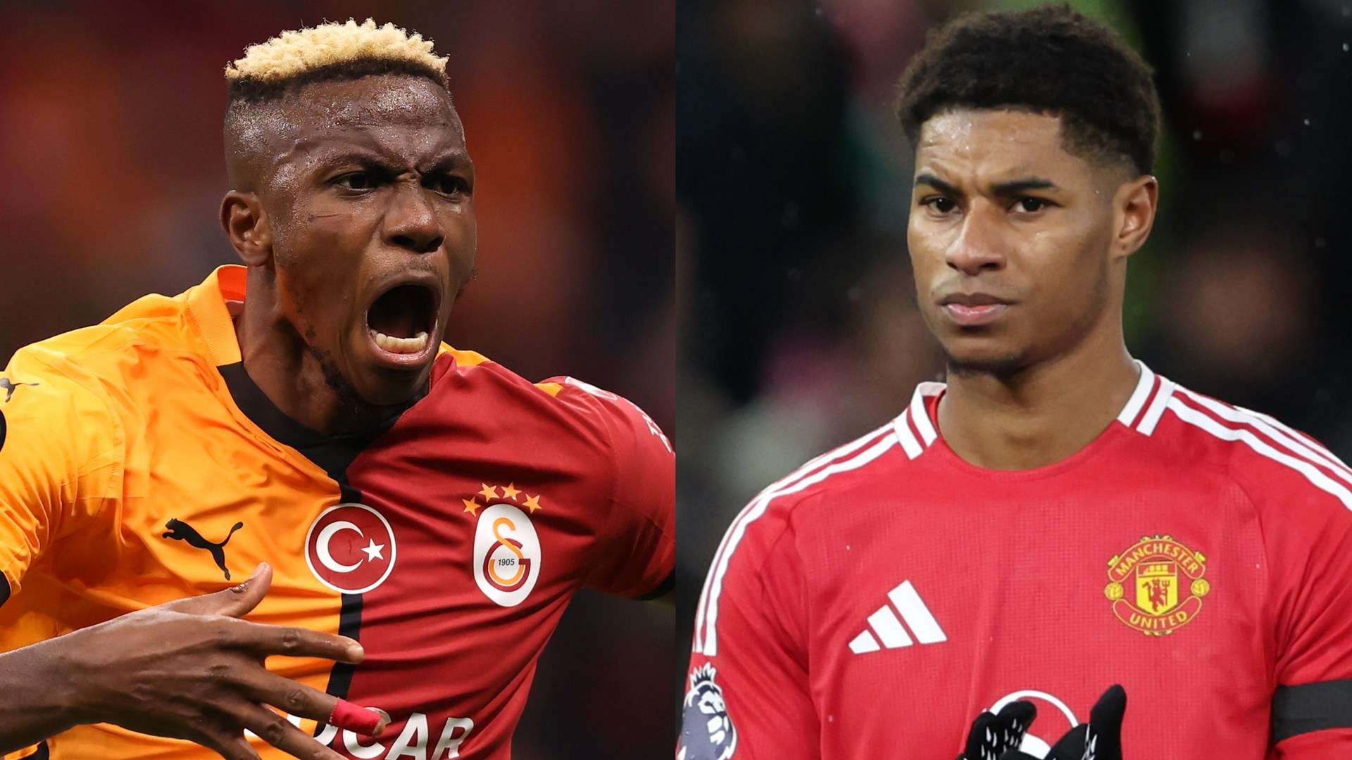 还拥有一大 还拥有一大