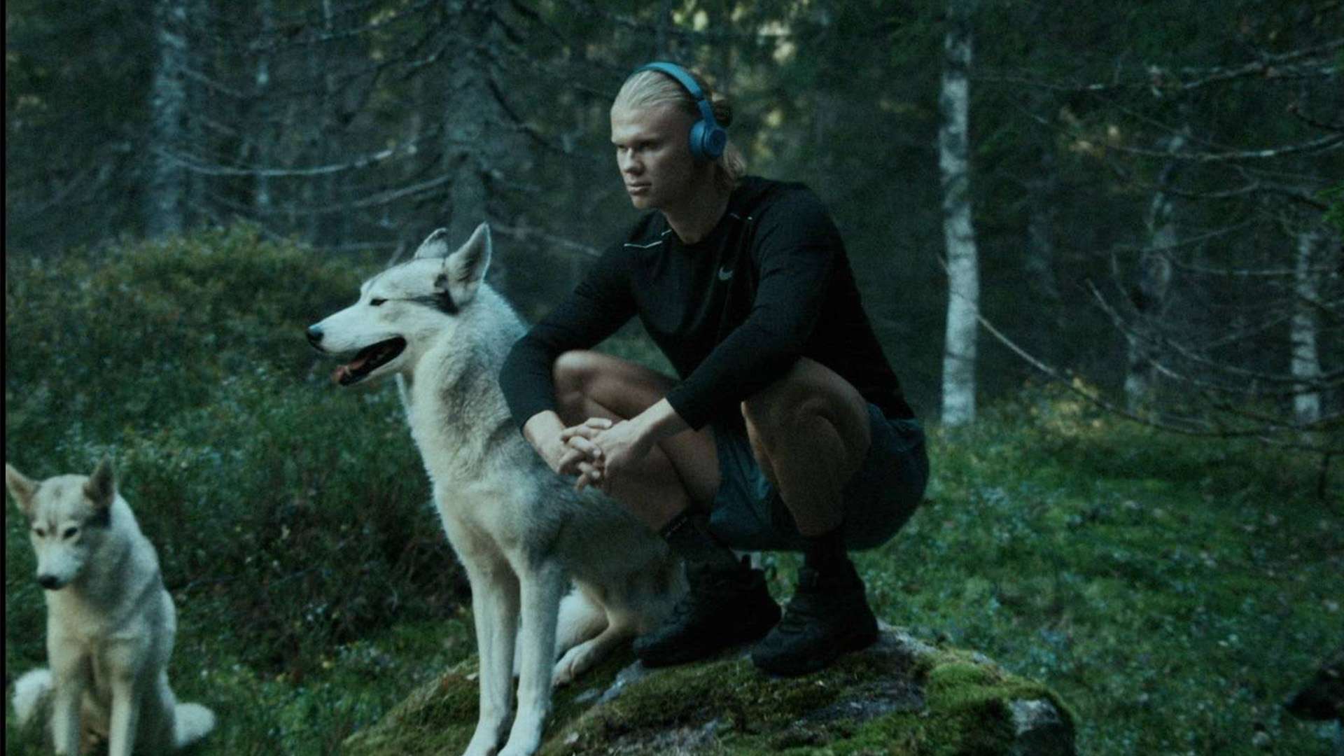 决的亮点 决的亮点